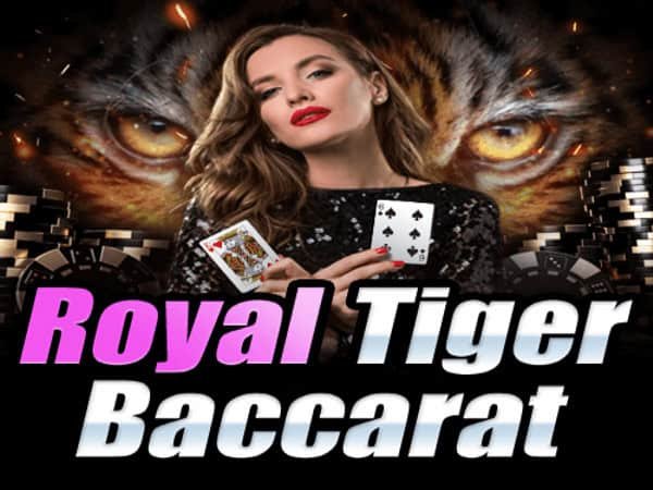 ภาพเกม Royal Tiger Baccarat จากค่าย Joker Gaming