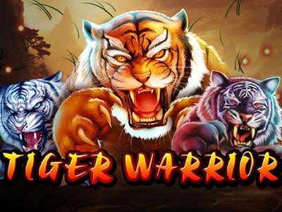 ภาพเกม Tiger Warrior จากค่าย Spade Gaming